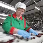 Industriell verarbeitetes rotes Fleisch birgt tödliche Gefahr in sich