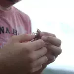 Teenie macht Insekten-Diät: Die Verwandlung seines Körpers ist krass
