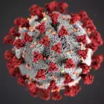 Unheimliche Kombination bei Virusmutation