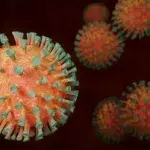 Virus