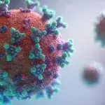 Wir lernen jeden Tag Neues über das Coronavirus