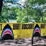 Grellgelbe Warnungen weisen auf vermeintliche Haie im Plötzensee hin.