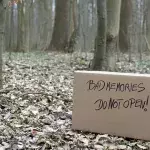 Sie findet einen Karton im Wald: Aber dabei handelt es sich nicht um ein ausgesetztes Tier