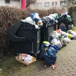 Schweinische Überraschung vor der Schule