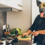 Anders als andere: "Ich wusste schon als Kind, dass ich eigentlich ein Hund bin." 