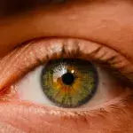Auge, Holzsplitter, Untersuchung