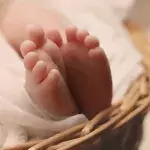 Baby
