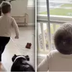 „Ich hab‘ dich lieb, Odie“ Warum ein Junge bei Regen immer ans Fenster läuft