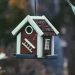 Ein Vogelhaus