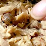 Frau öffnet Thunfischdose: Was sie entdeckt, verdirbt ihr total den Appetit!