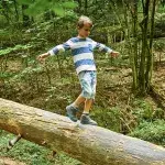 Junge verschwindet im Wald