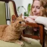 Katze und Frau