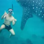 Mann schwimmt auf TikTok mit Haien