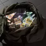 Millionen-Diebin auf freiem Fuß