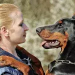 Nach dem Urlaub umarmt Frau ihren Hund mit schrecklichen Folgen
