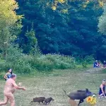 Nackter Mann verfolgt Wildschwein, das seine Sachen gestohlen hat