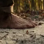 A Quiet Place (2018)