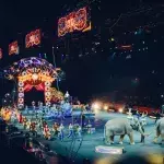 Russland: Bär greift schwangere Dompteurin an