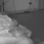 Schlange am Bett