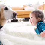 Symbolbild: Hund belohnt Baby