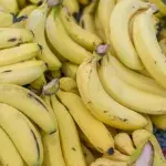 Bananen richtig lagern: Wie werden sie nicht so schnell braun?