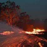 Buschbrände in Moruya, Australien