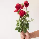 Darum solltest du am Valentinstag keine Blumen mehr verschenken