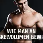 Ein wertvoller Tipp für den Muskelaufbau