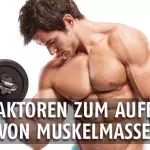 3 wichtige Tipps, wenn ihr Muskelmasse aufbauen wollt