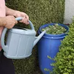Lebensmittelreste als natürlicher Dünger