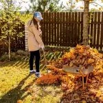 Gartenarbeit im Herbst: Laub, Äste und mehr richtig entsorgen