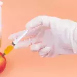 Drei Spritzen werden in einen Apfel injiziert