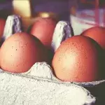 Eier,Haltbarkeit,Aufbewahrung,Temperatur