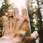 Eine Hand greift in das Sonnenlicht in einem Wald