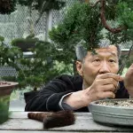 Geheimnis eines langen Lebens: Japanischer Arzt verrät, wie er über 100 Jahre alt wurde