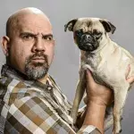 Gesetzgebung für Hundebesitzer
