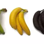 Grün, gelb oder schwarz: Welche Banane ist am gesündesten?