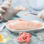 Lebensmittel