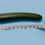 Raucher und ihr Penis: So verändert deine Sucht dein bestes Stück
