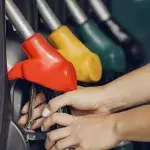 Sind Raps- und Heizöl eine Alternative zu Diesel?