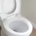 Unerwartete Kreaturen in der Toilette