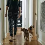 Was tun, wenn dir dein Hund in der Wohnung überallhin folgt
