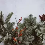 Wie Weihnachtsmüll recyceln?