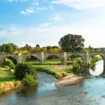 Von dieser Brücke stürzen die Hunde in den Tod