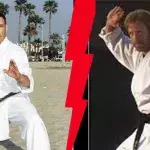 So sieht es aus, wenn Jean-Claude Van Damme und Chuck Norris gemeinsam trainieren