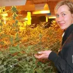 Polizei fordert Cannabis-Legalisierung