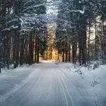 Der Winter kehrt zurück: Temperaturabfall bringt Schnee statt Regen