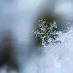 Februar, Wetter, Winter, warm
