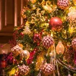 Glücklicher durch Weihnachtsdeko? Psycholog:innen verraten, weshalb man früh schmücken sollte