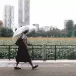 Regen, Wetter, Herbst, Temperatursturz, ungemütlich